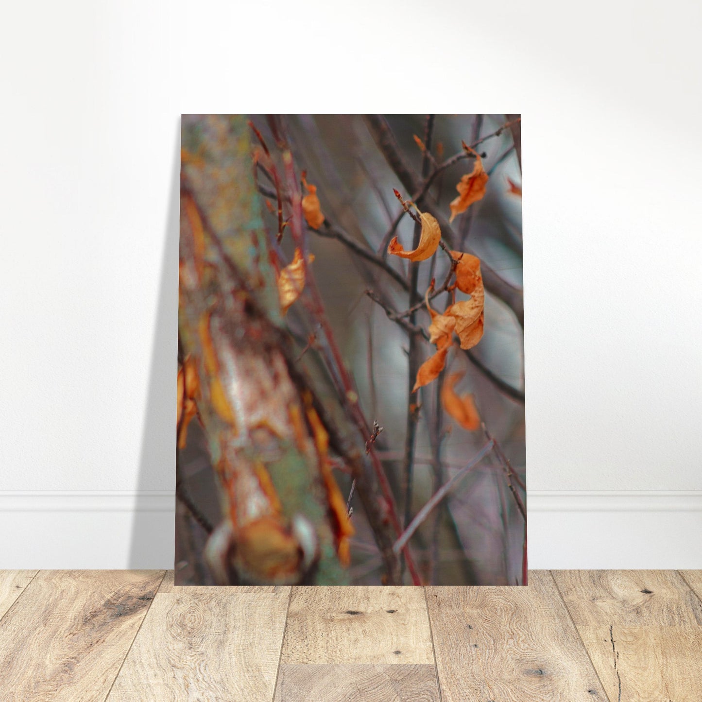 Floating Leaves - Wood Prints