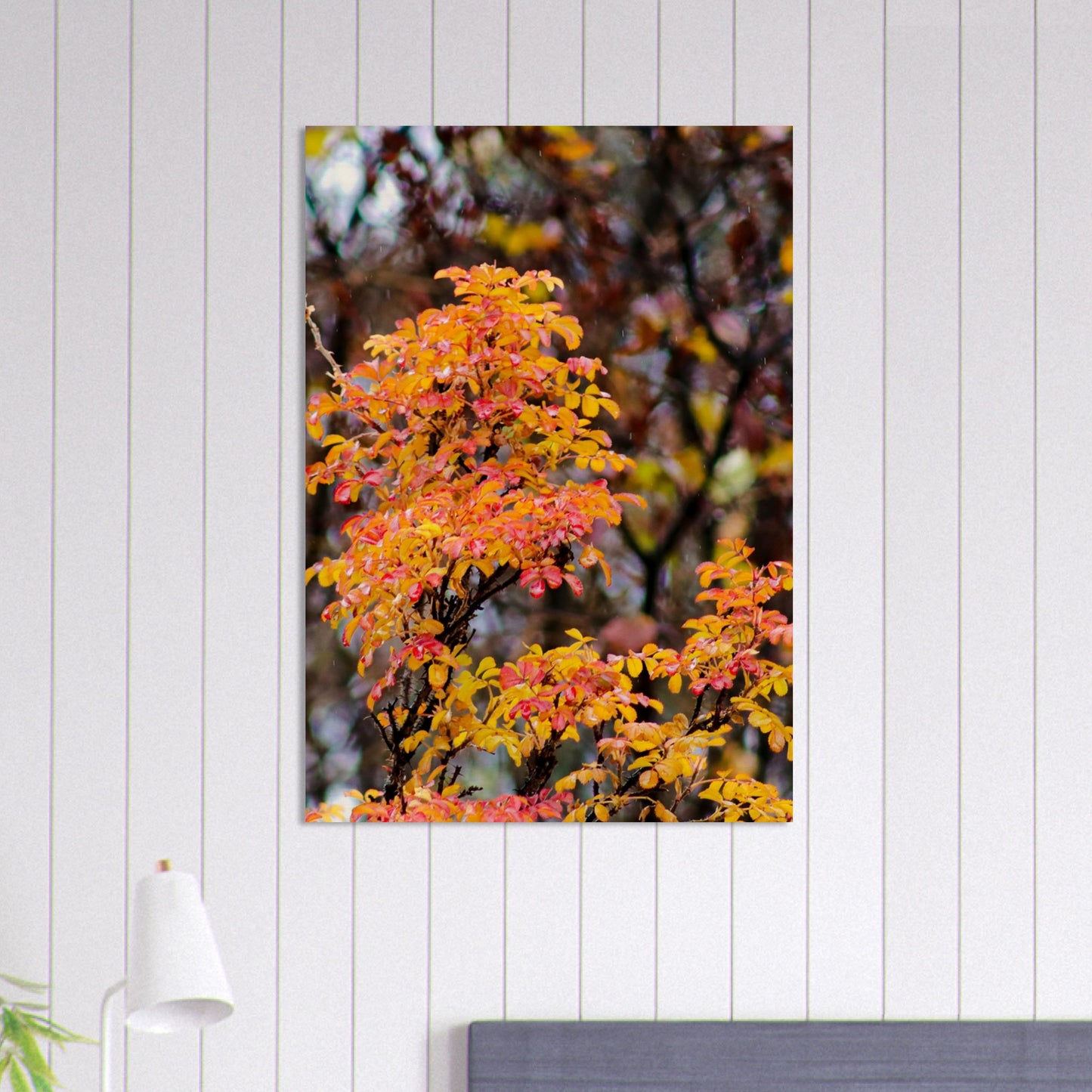 Fall Colors - Wood Prints