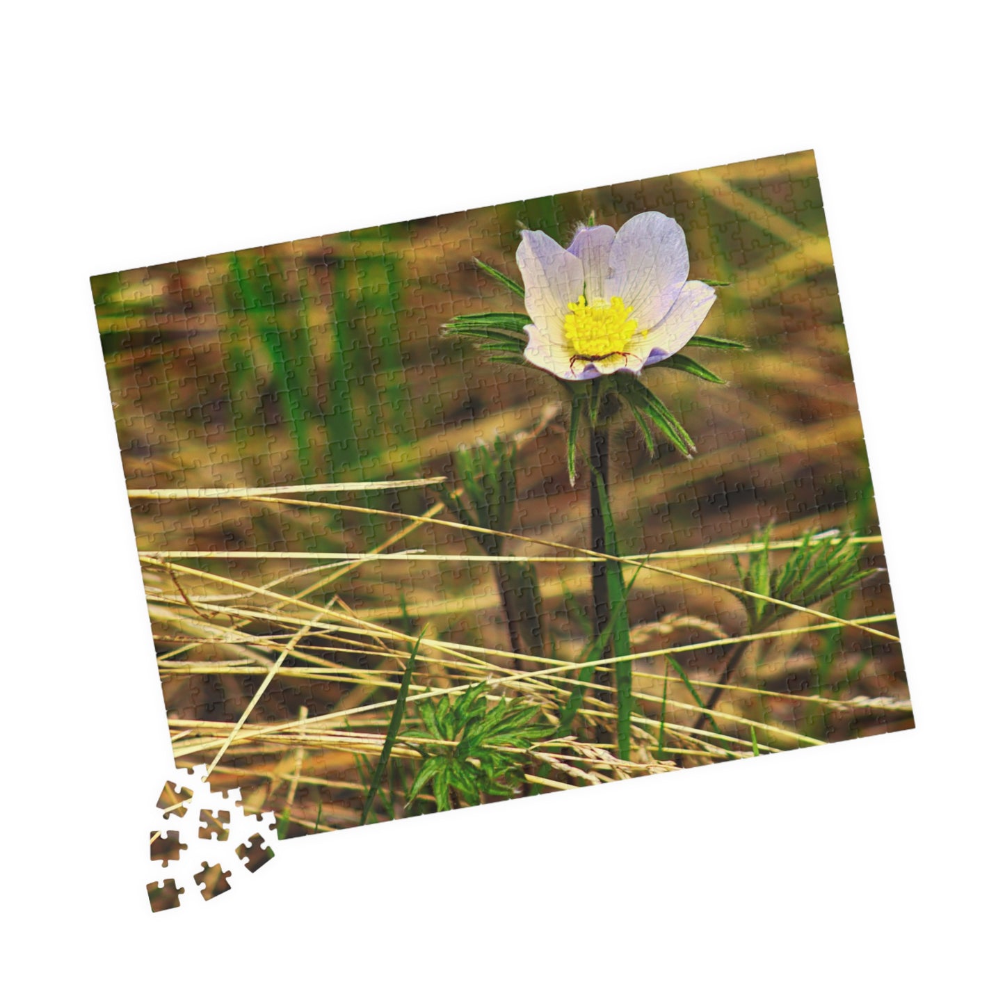 Spider on Flower - Puzzle