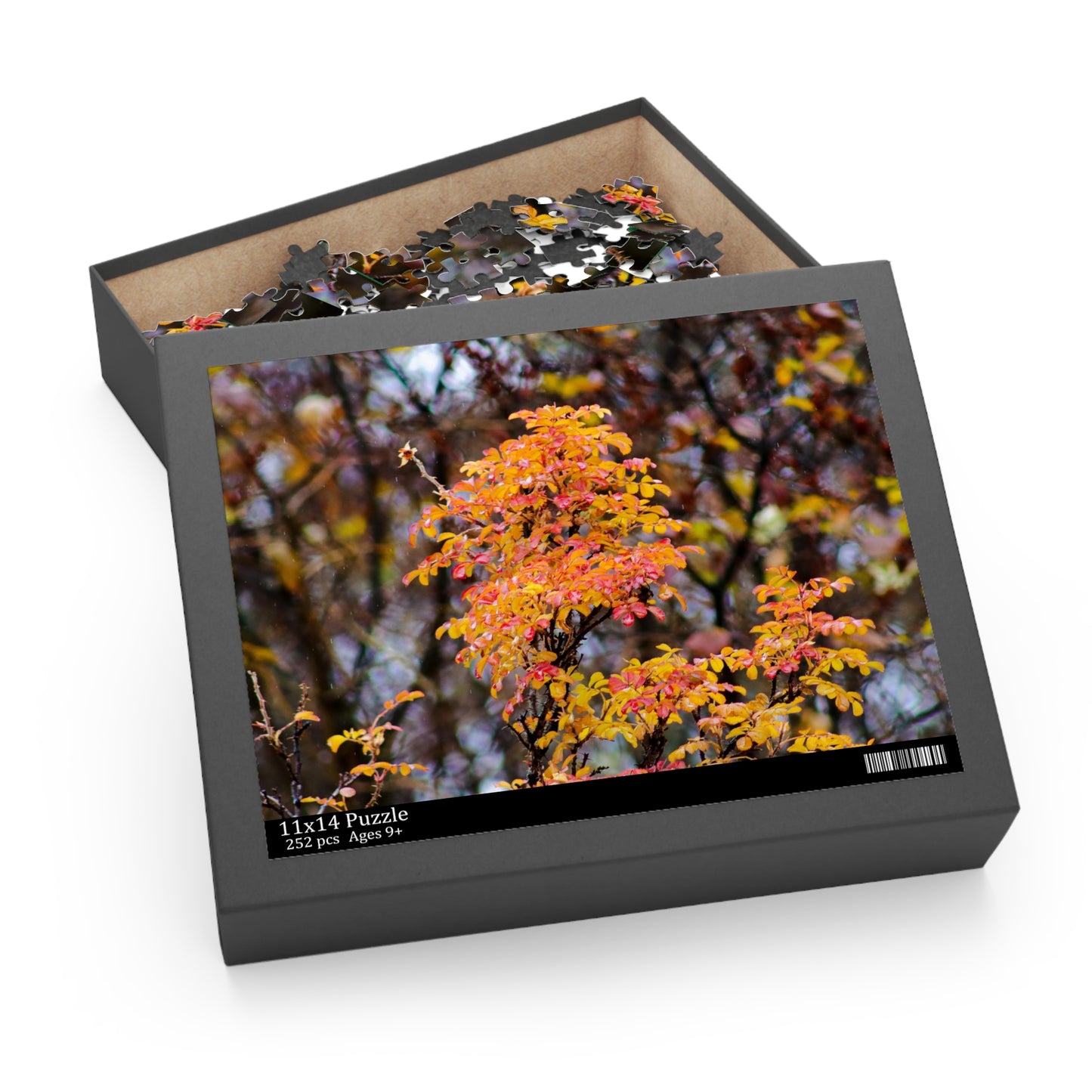 Fall Colors - Puzzle