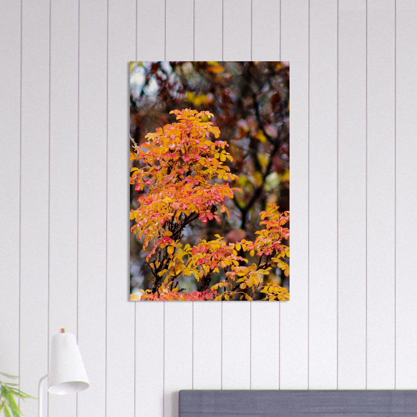 Fall Colors - Wood Prints