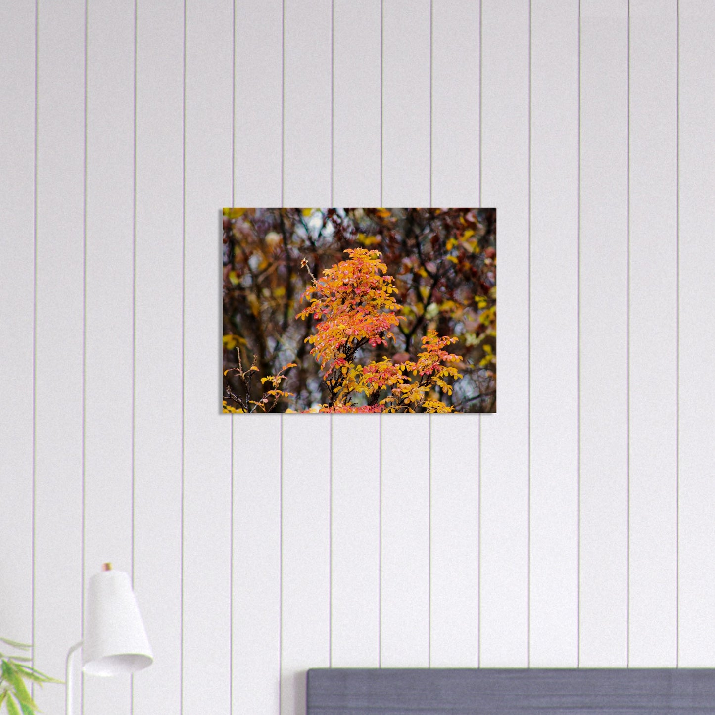 Fall Colors - Wood Prints