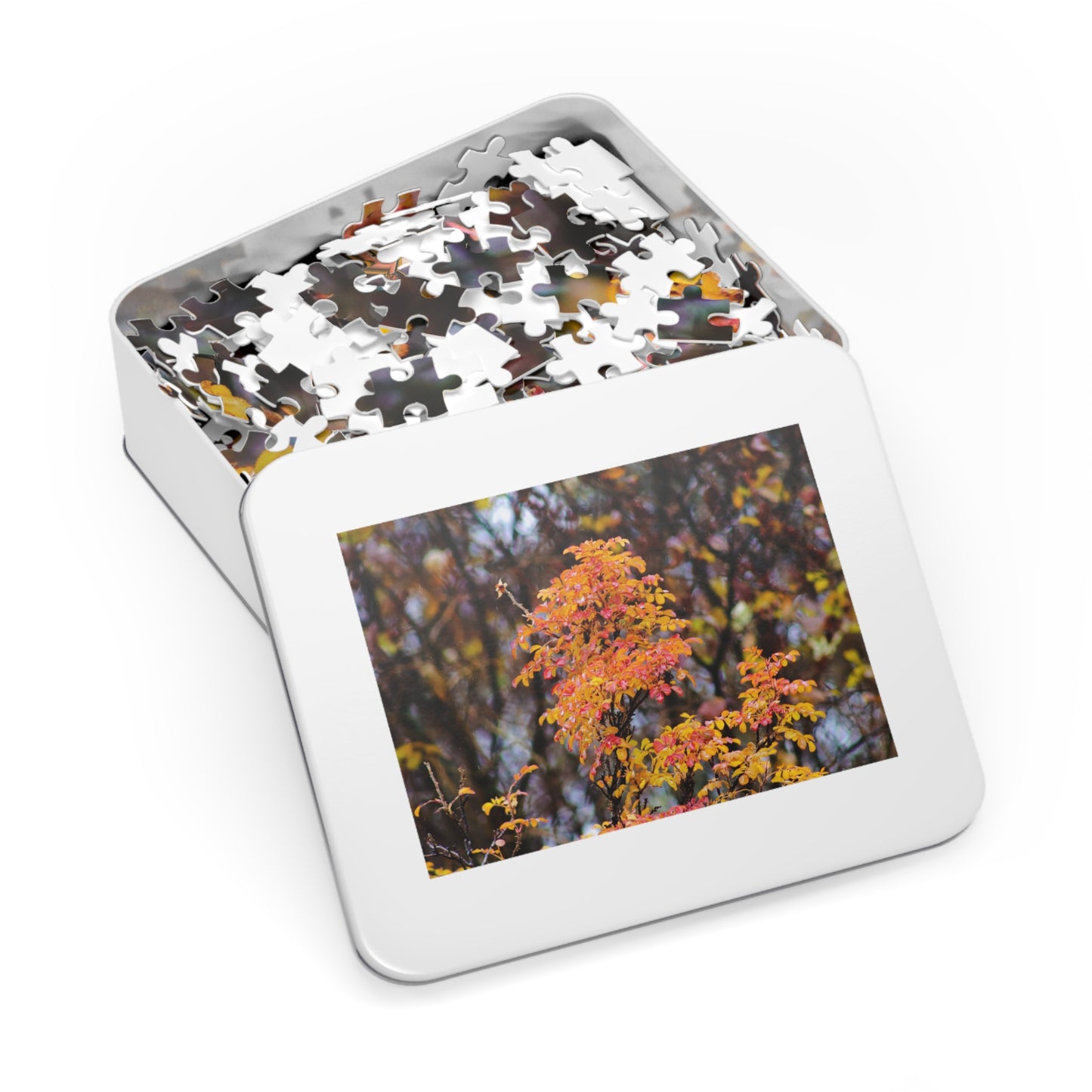 Fall Colors - Puzzle