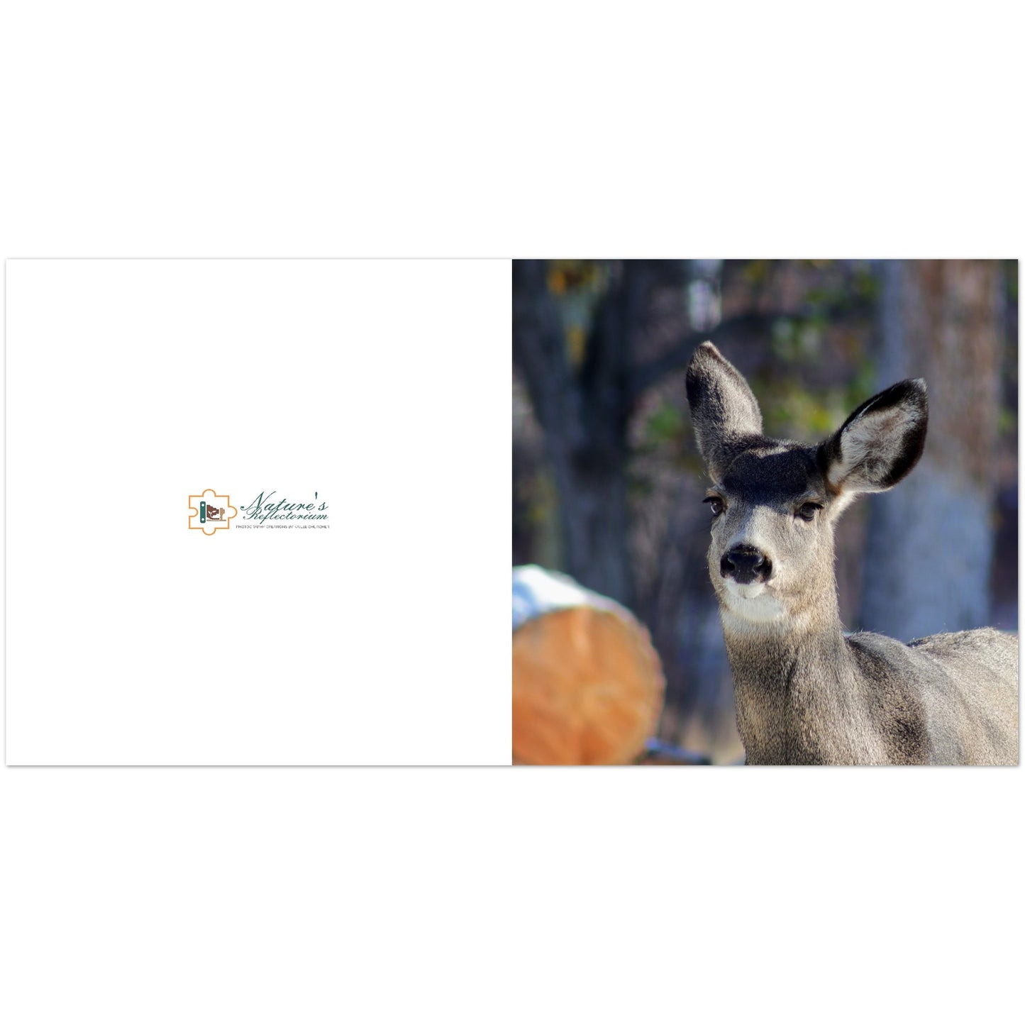 Deer - Greeting Cards (US & CA)