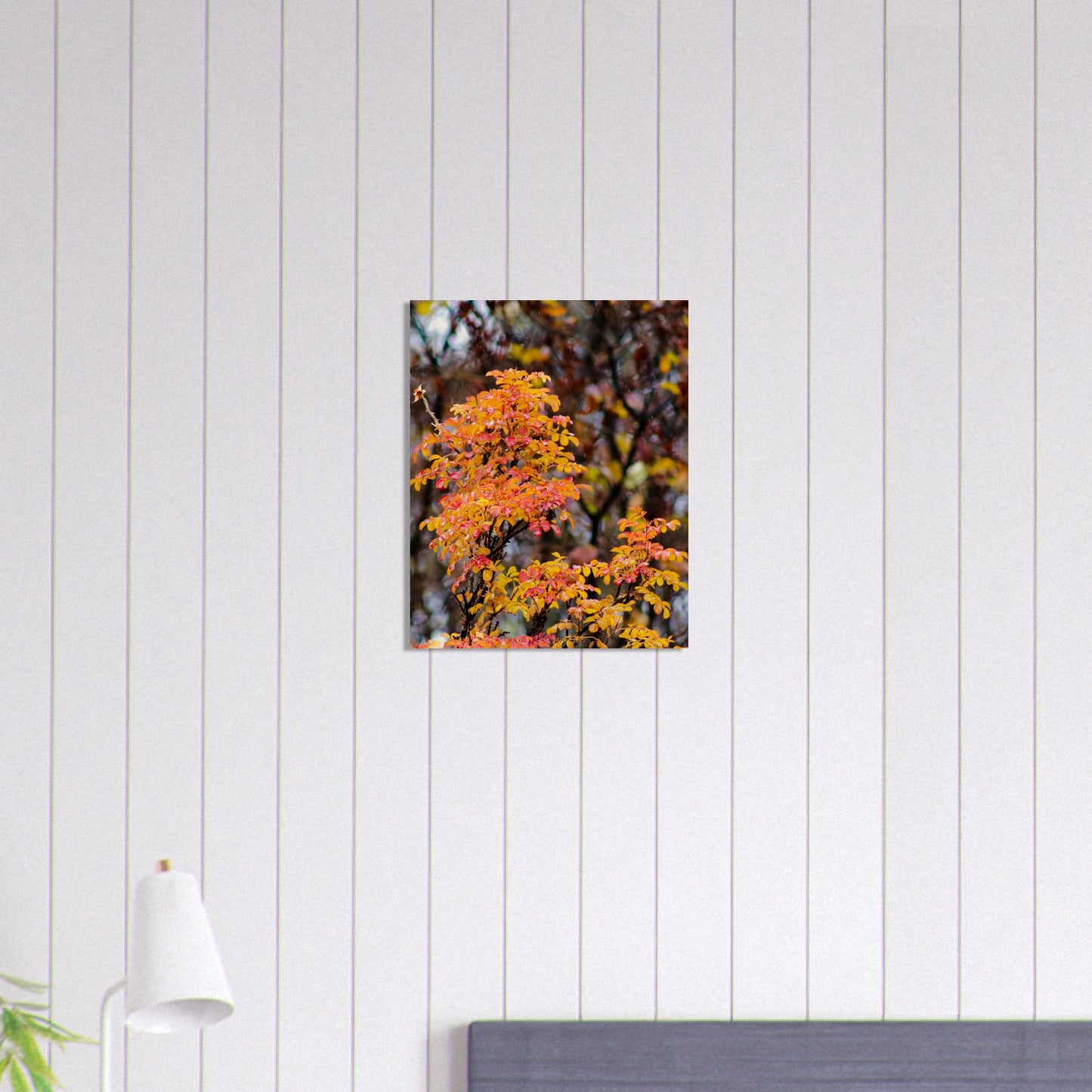 Fall Colors - Wood Prints