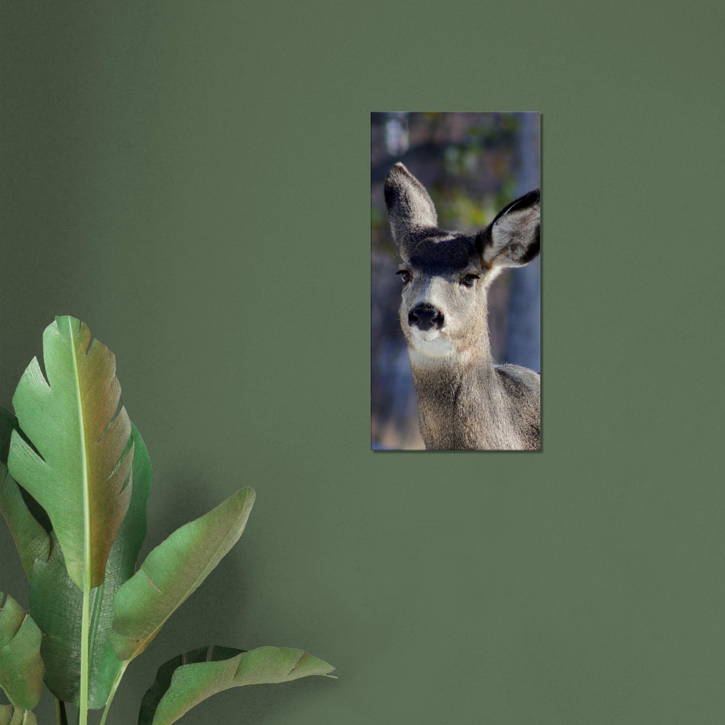 Deer - Canvas