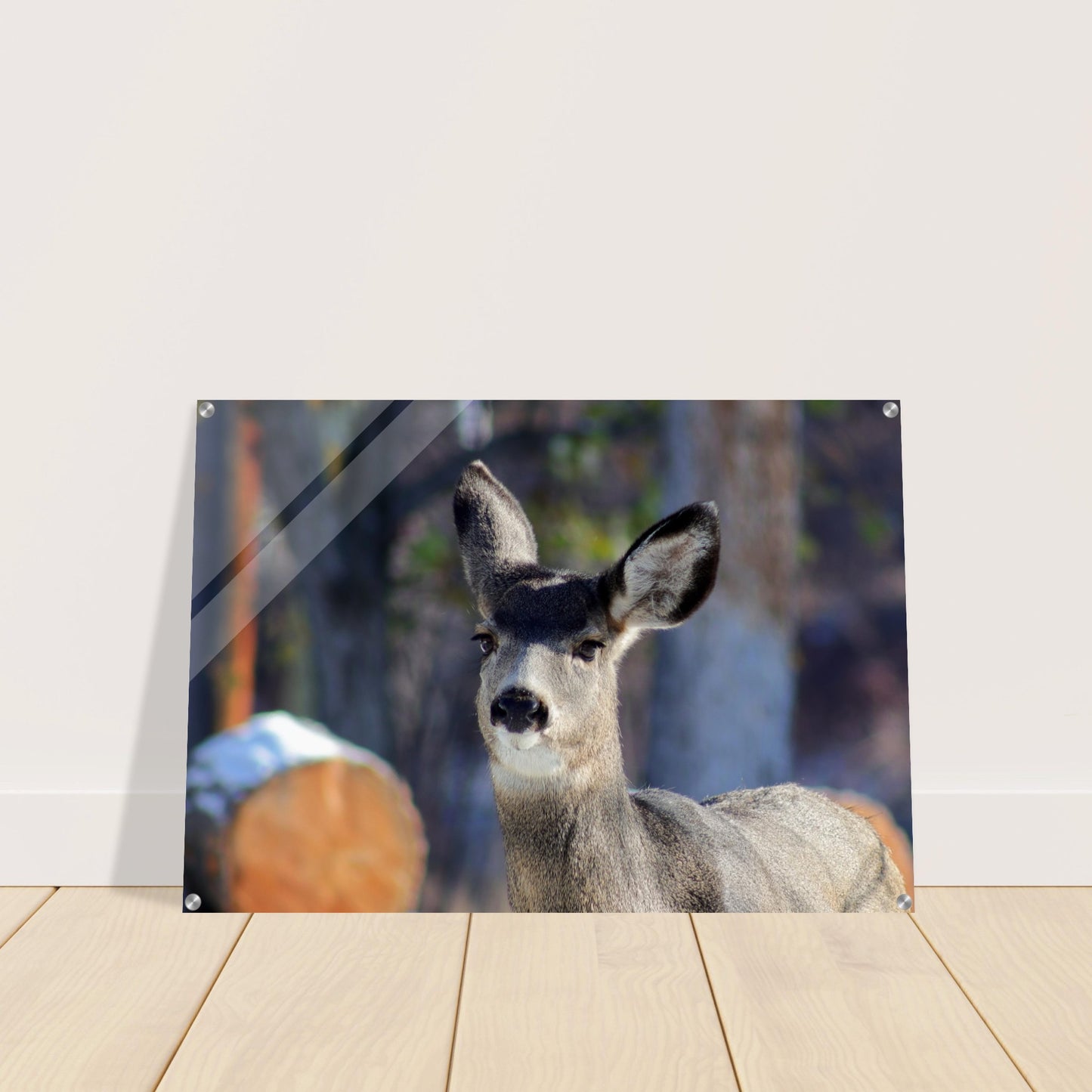 Deer - Acrylic Print