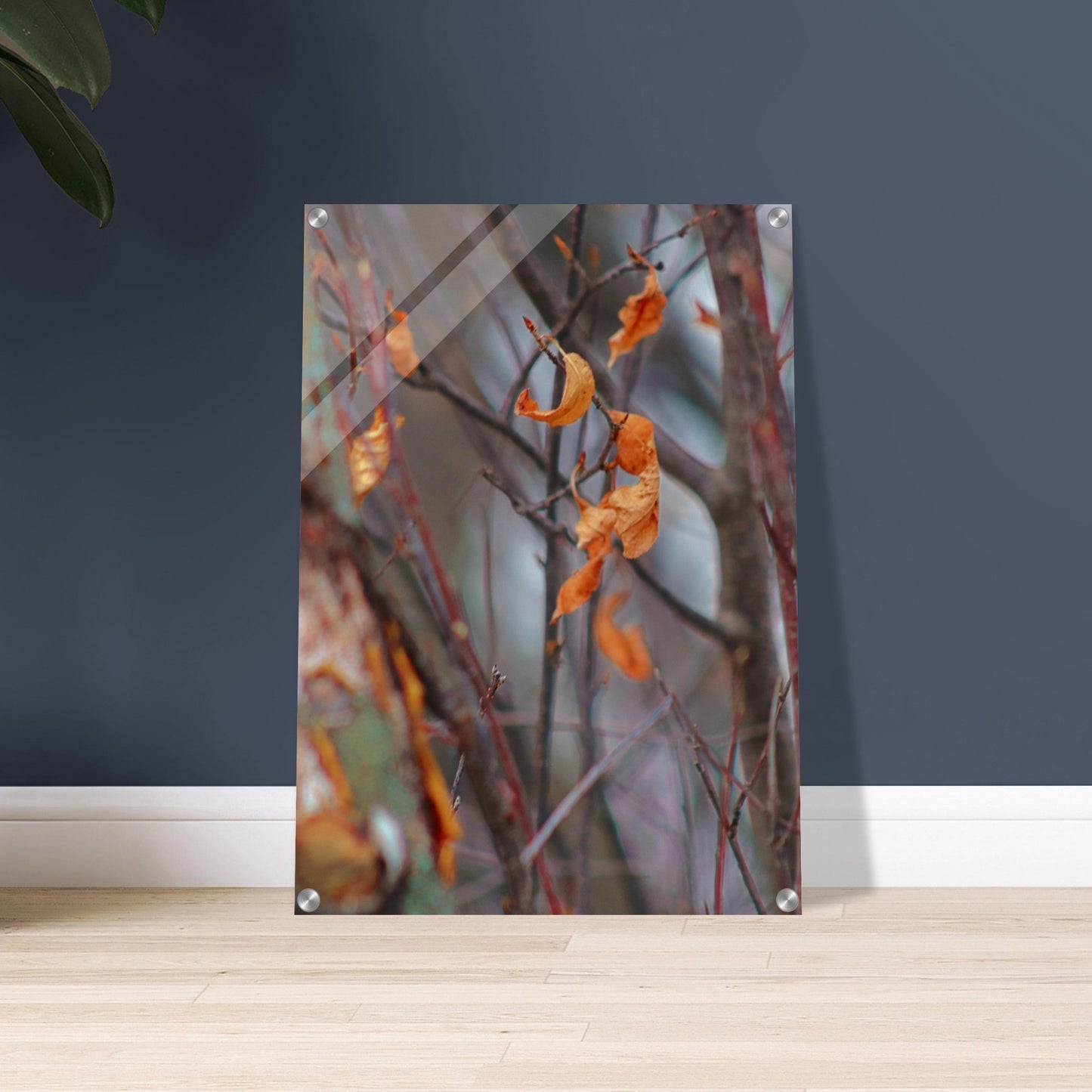 Floating Leaves - Acrylic Print