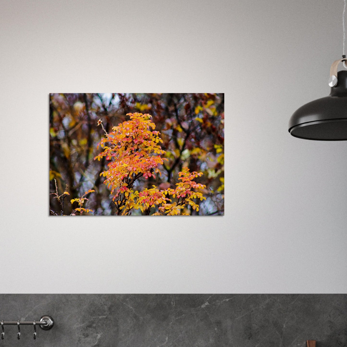 Fall Colors - Canvas