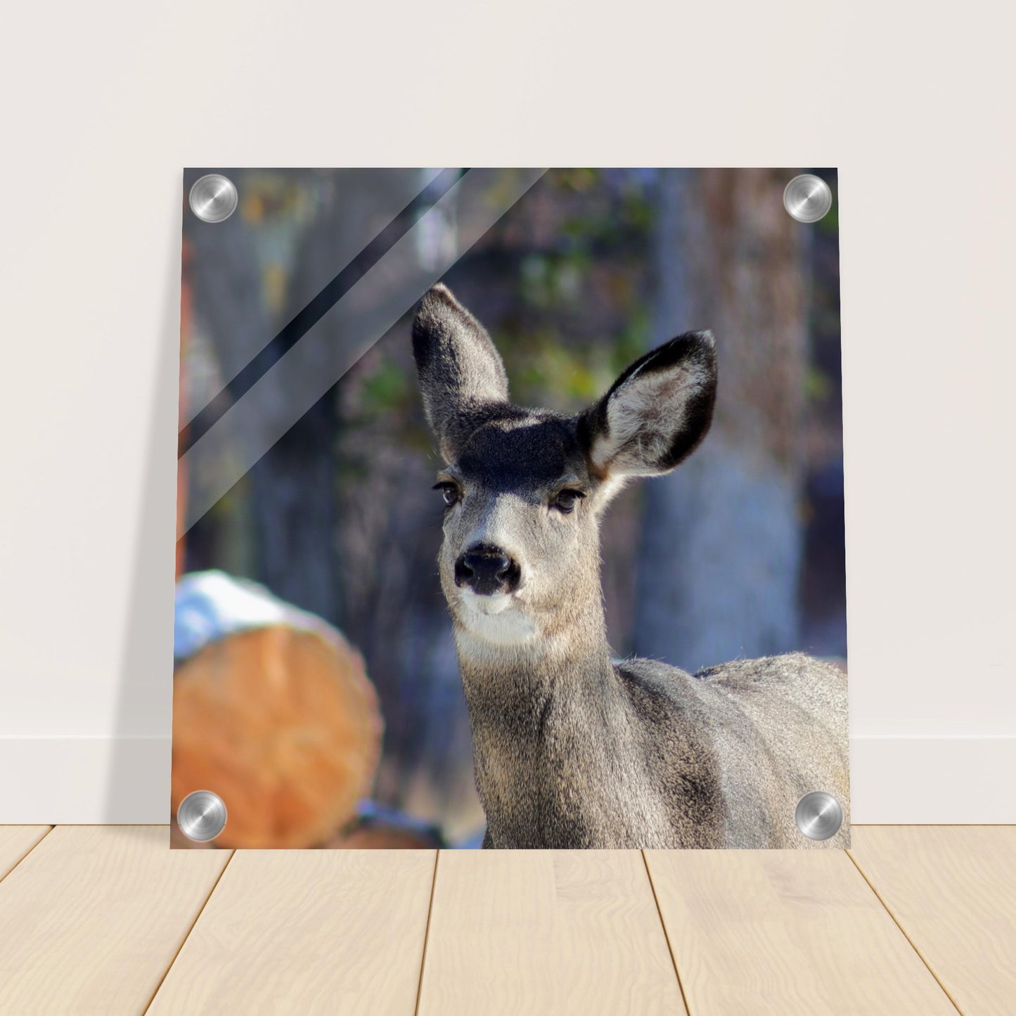 Deer - Acrylic Print