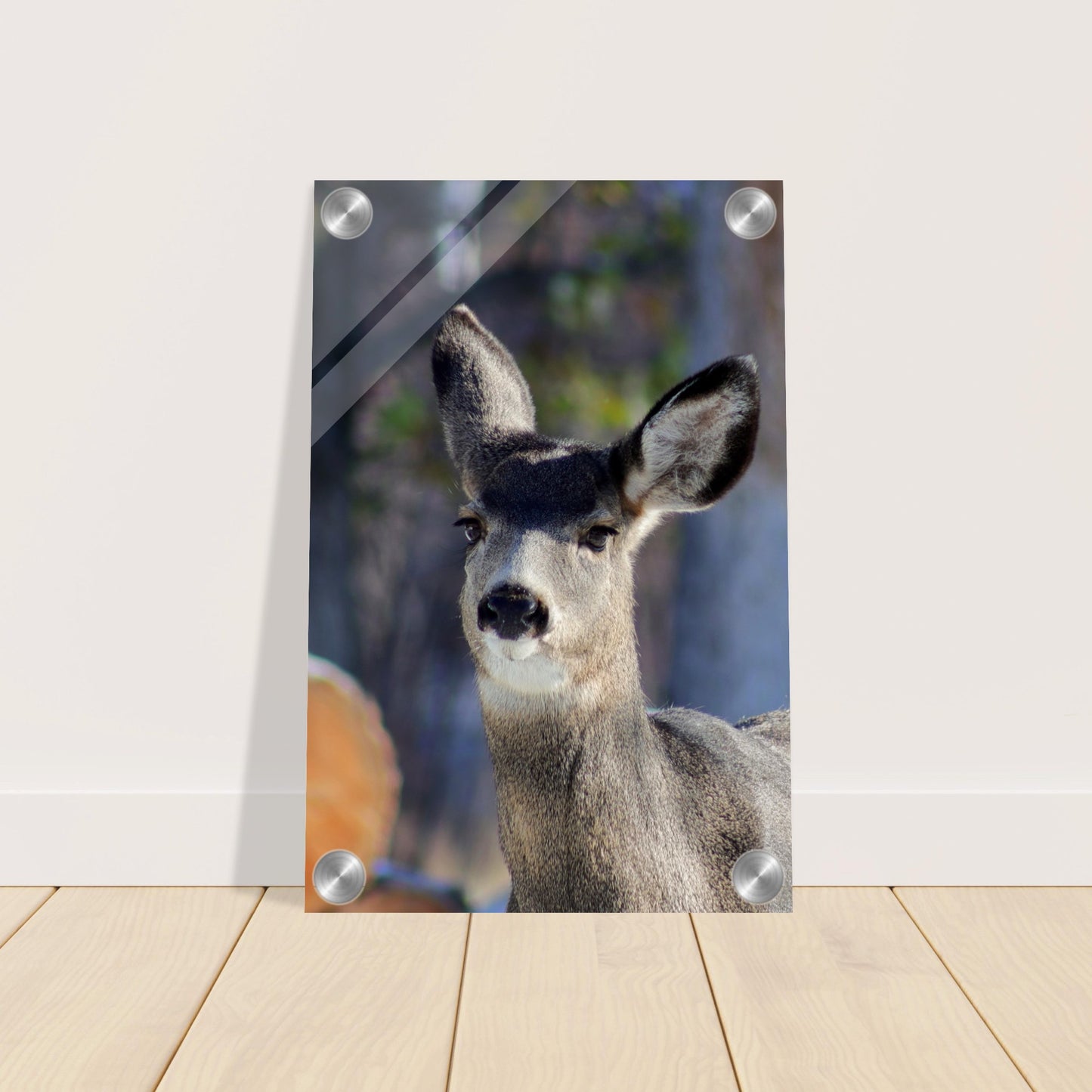 Deer - Acrylic Print