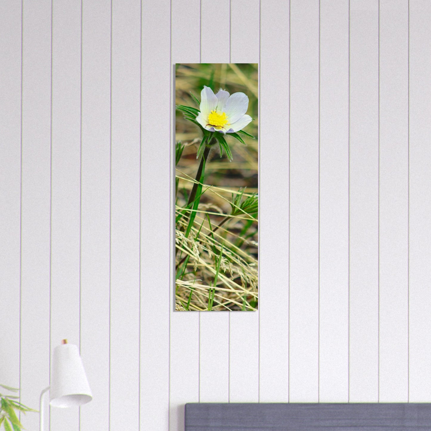 Spider On Flower - Wood Prints