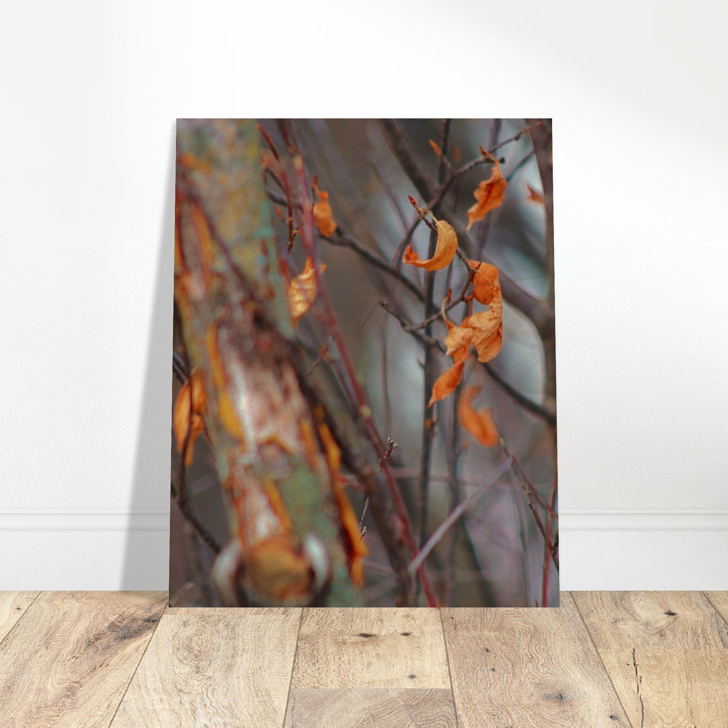 Floating Leaves - Wood Prints