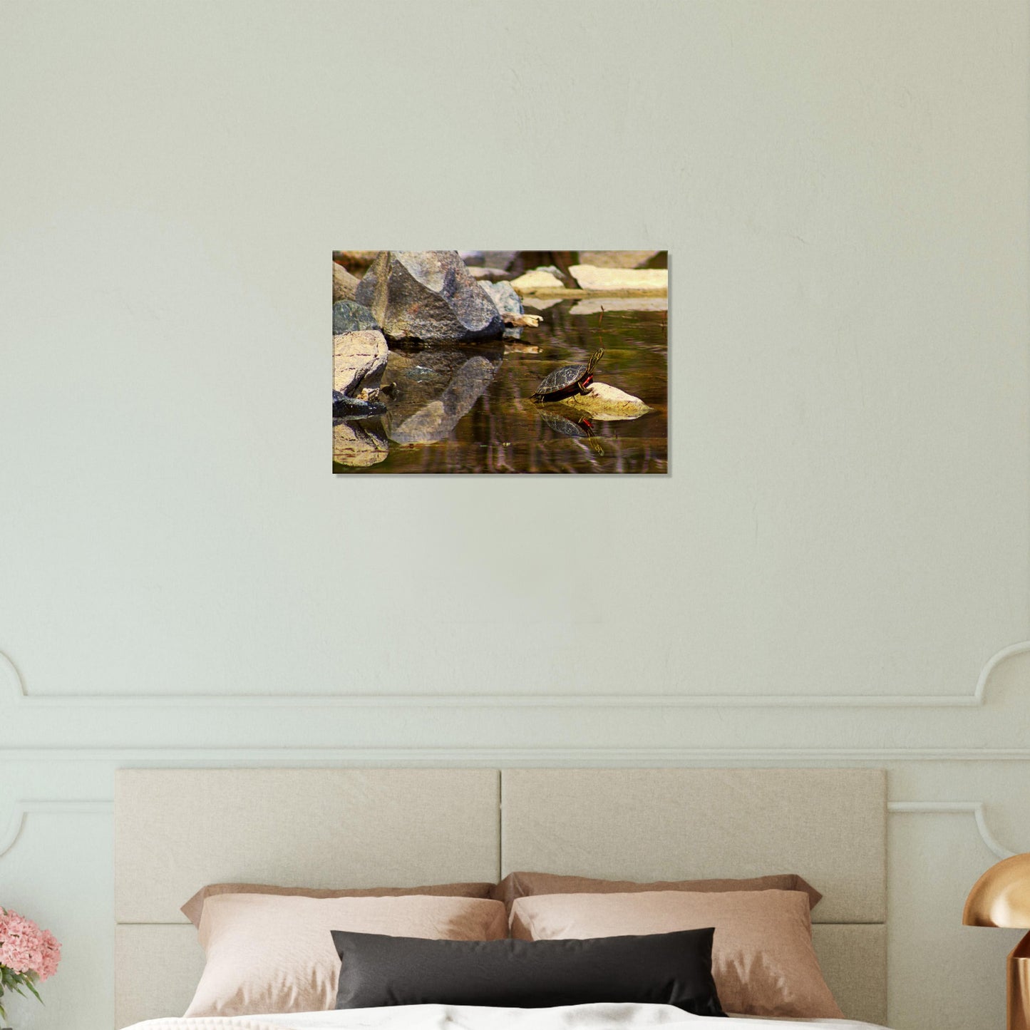 Turtle - Canvas