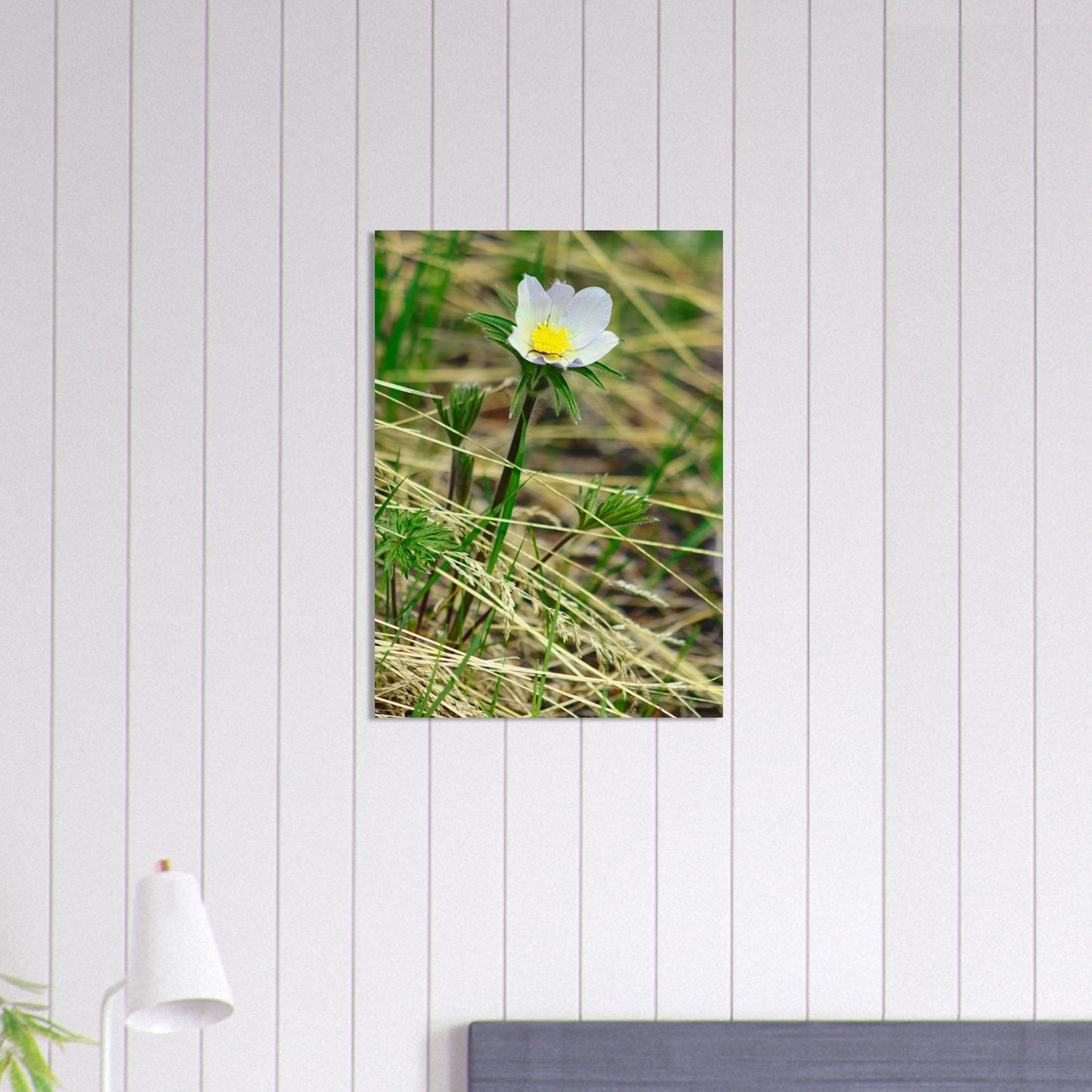 Spider On Flower - Wood Prints