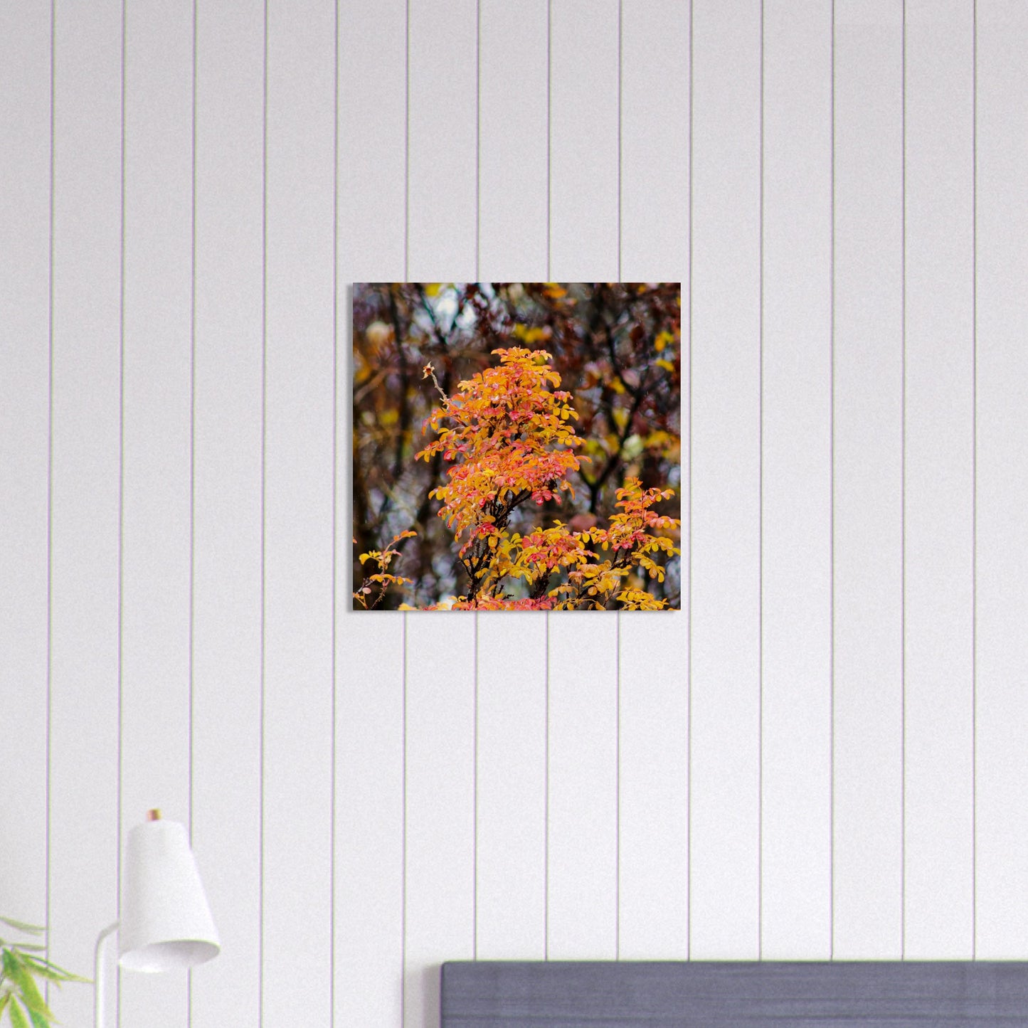 Fall Colors - Wood Prints