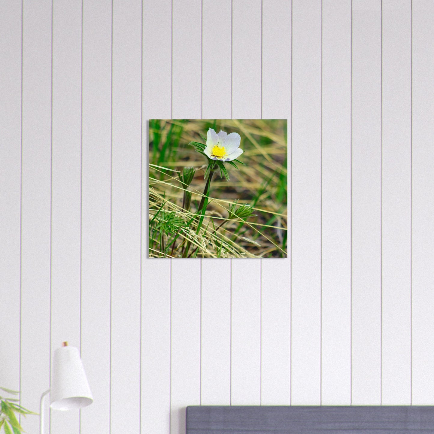 Spider On Flower - Wood Prints