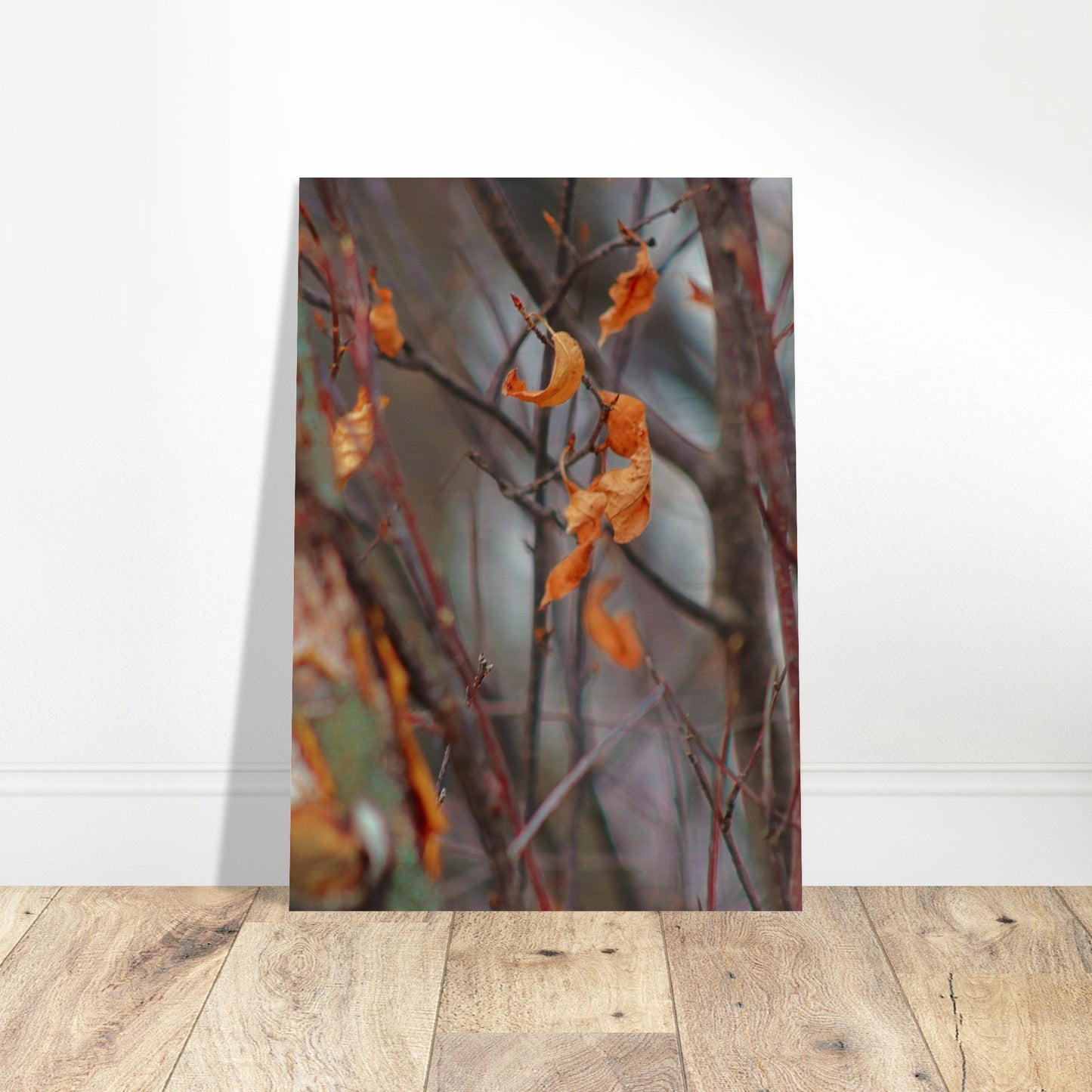 Floating Leaves - Wood Prints