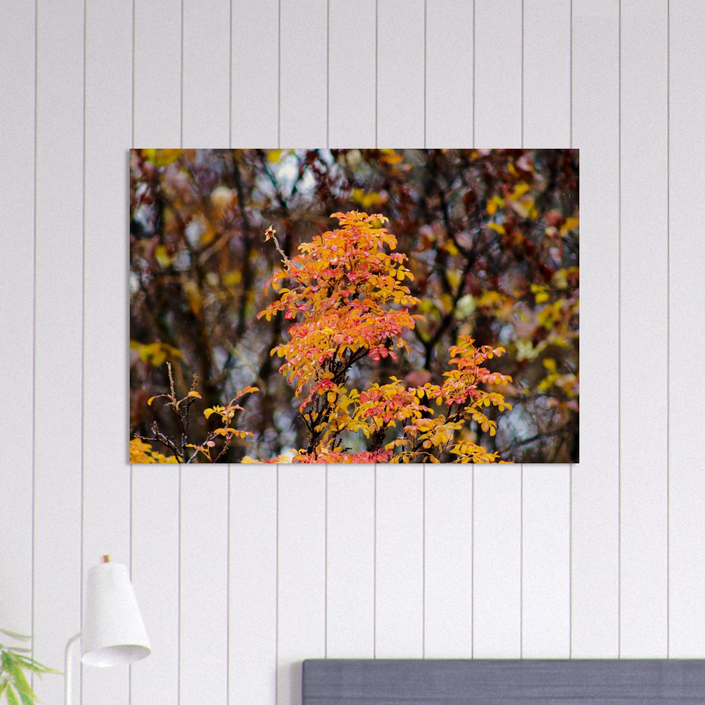 Fall Colors - Wood Prints