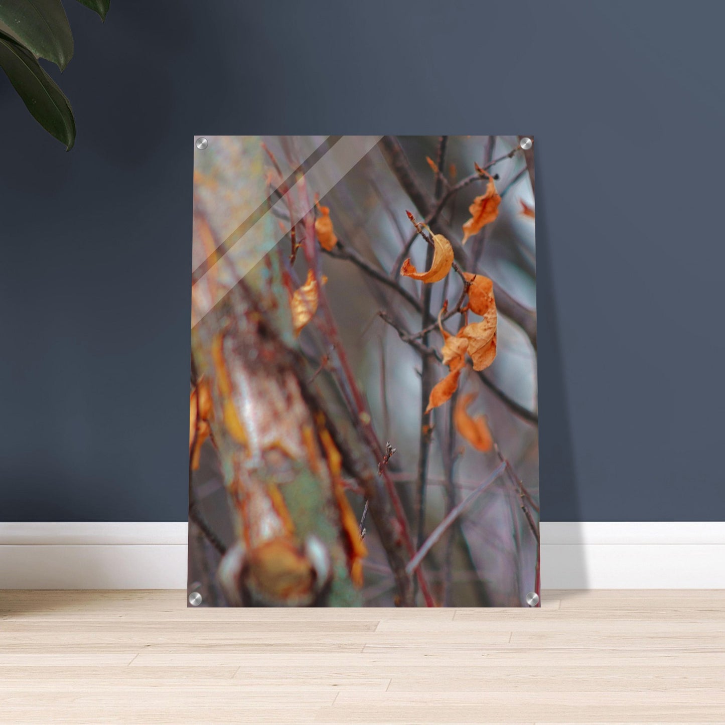 Floating Leaves - Acrylic Print