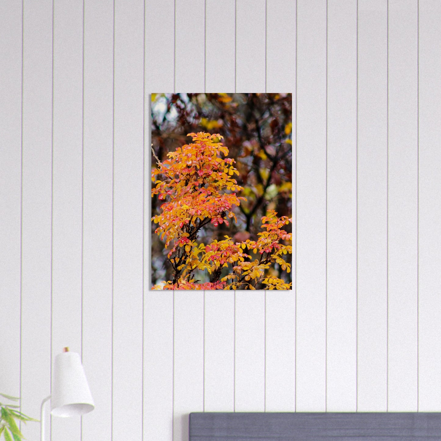 Fall Colors - Wood Prints