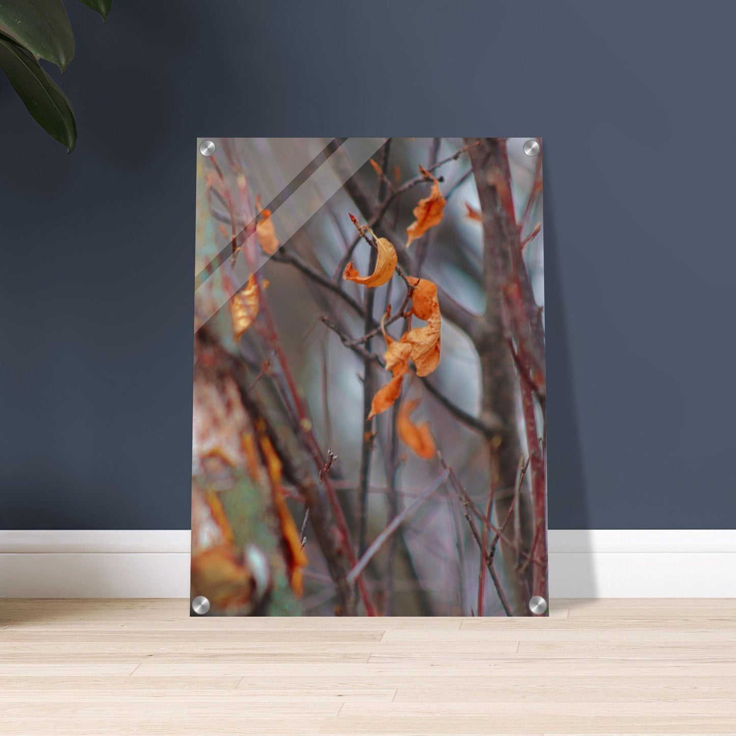 Floating Leaves - Acrylic Print