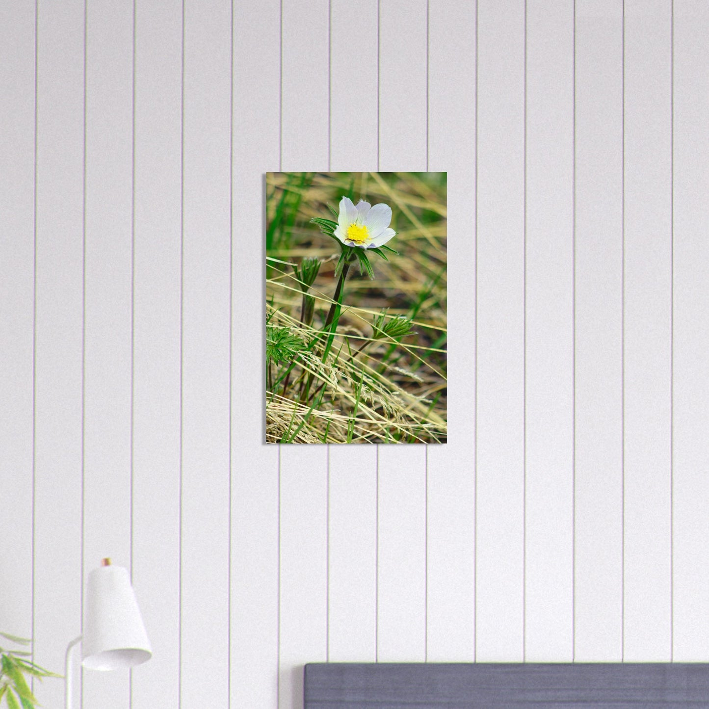 Spider On Flower - Wood Prints