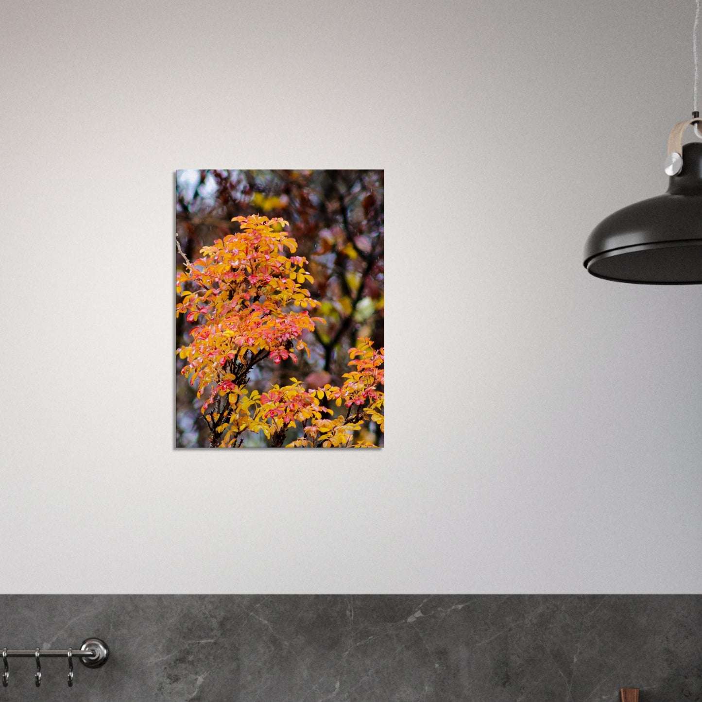 Fall Colors - Canvas