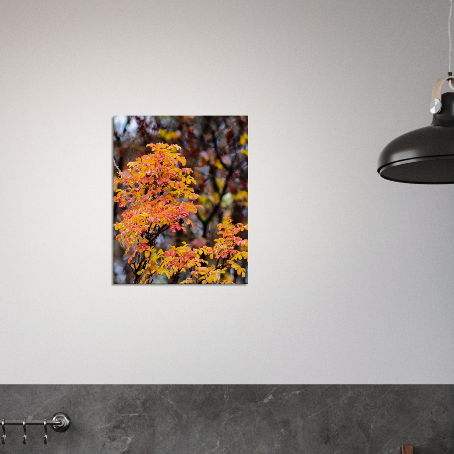 Fall Colors - Canvas