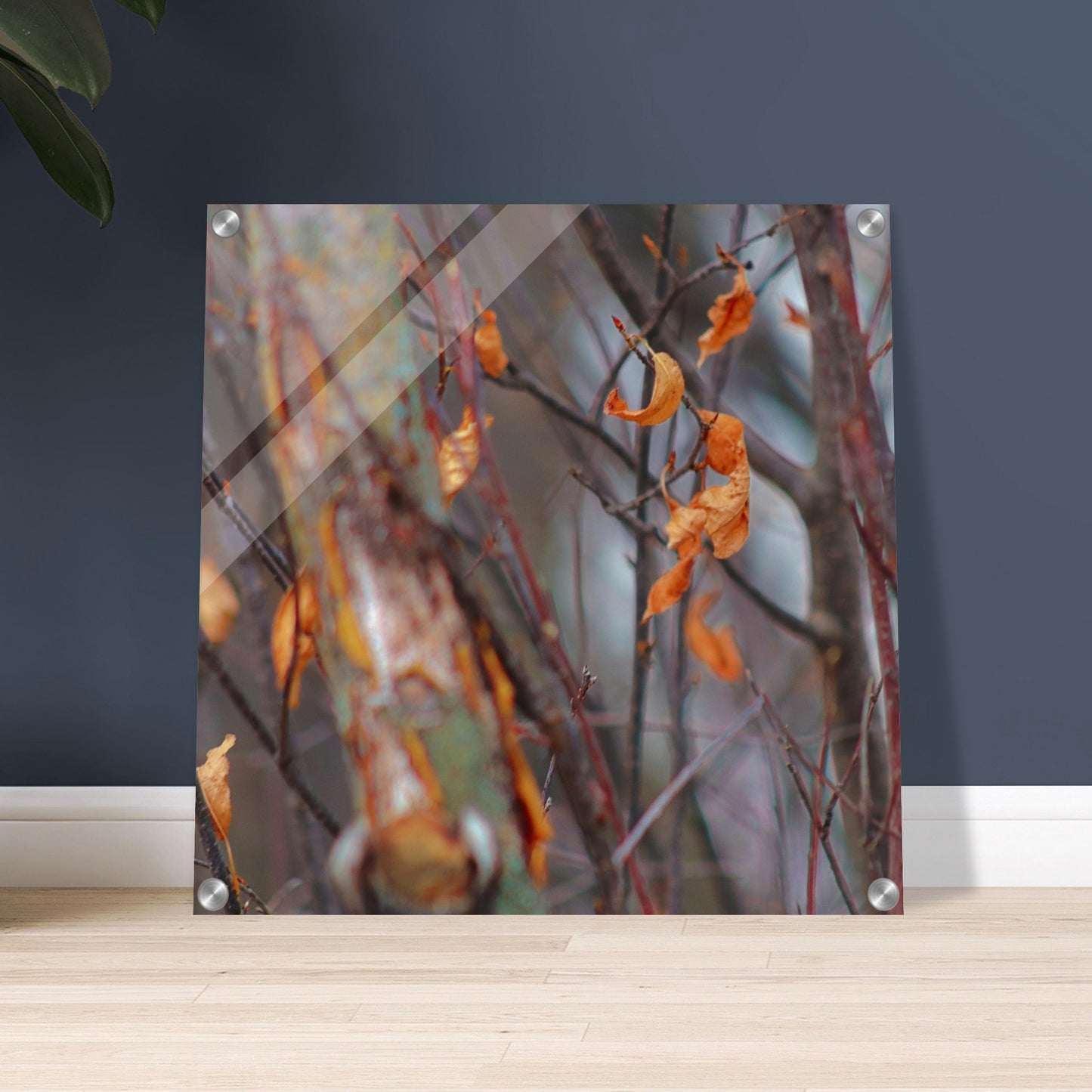 Floating Leaves - Acrylic Print