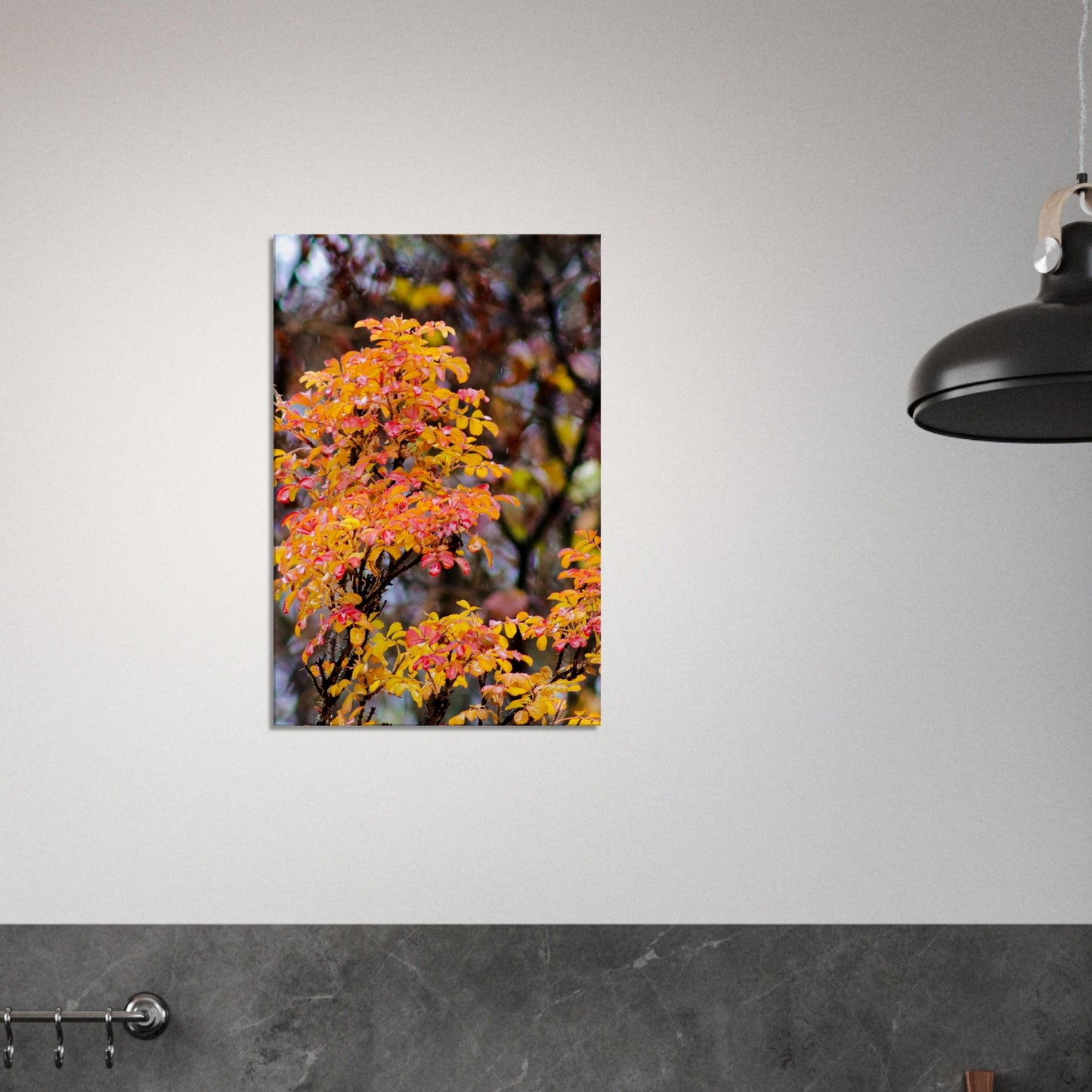 Fall Colors - Canvas